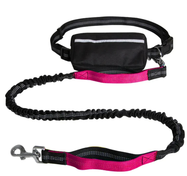 GlowFlex Hands-Free Dog Leash