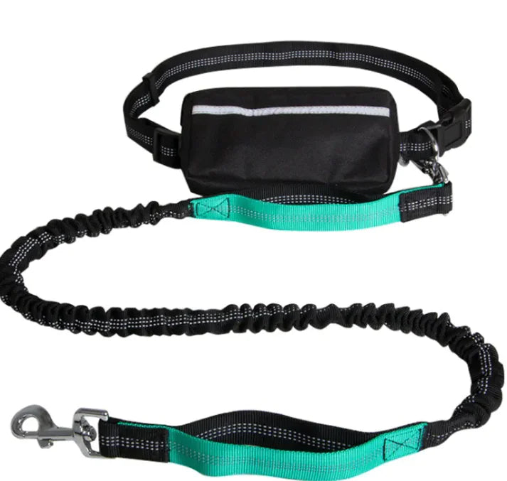 GlowFlex Hands-Free Dog Leash